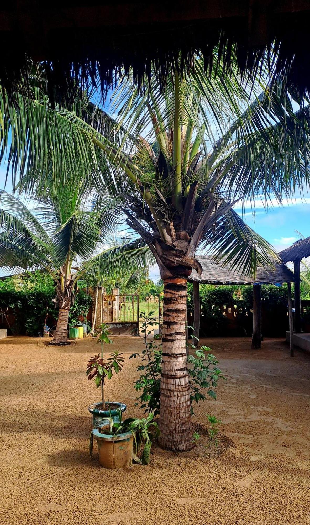 Hotel Nguel Du Saloum - Chez Abdou Et Mar Mar Lodj Exterior foto