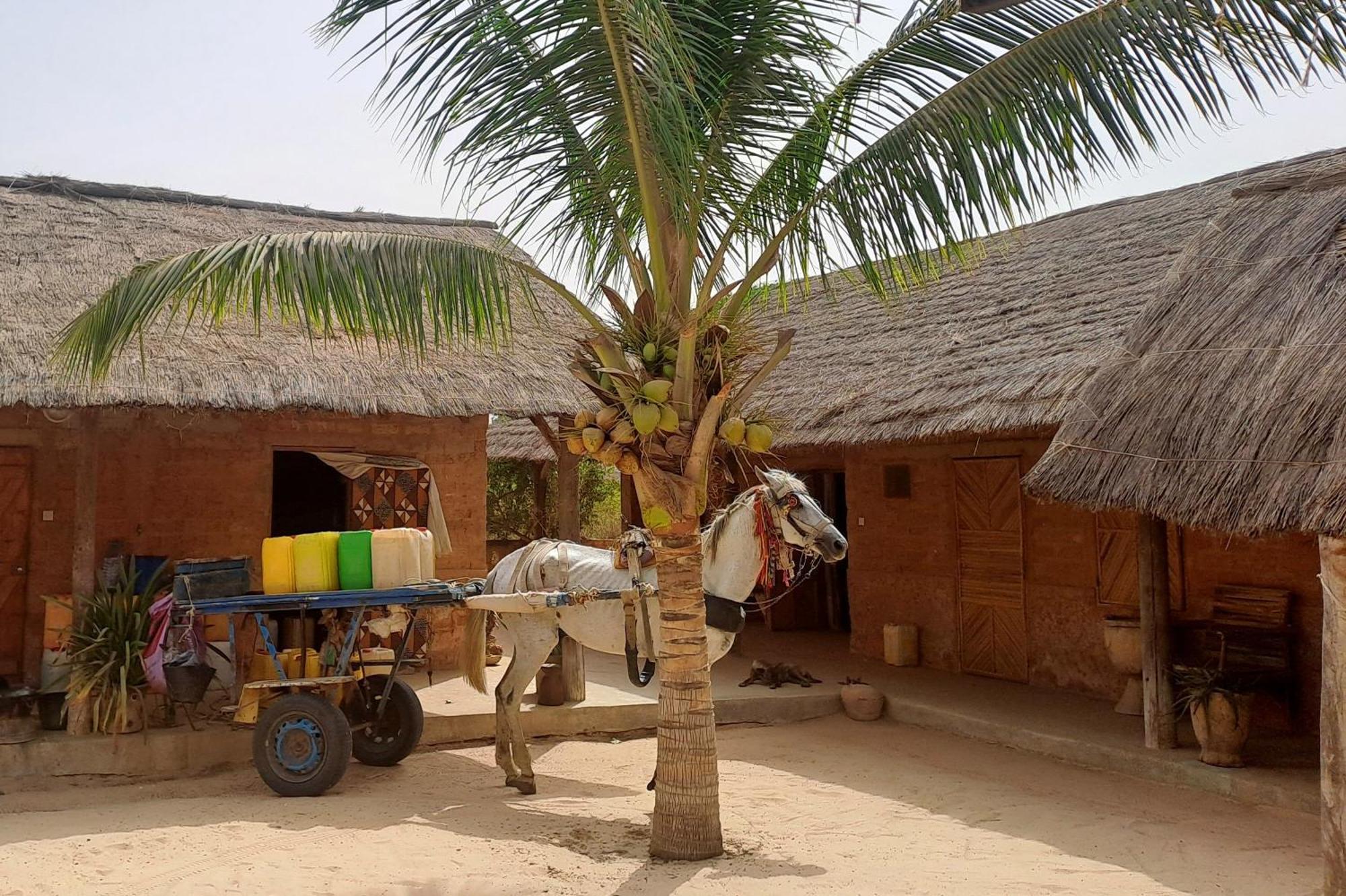 Hotel Nguel Du Saloum - Chez Abdou Et Mar Mar Lodj Exterior foto